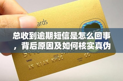 总收到逾期短信是怎么回事，背后原因及如何核实真伪？