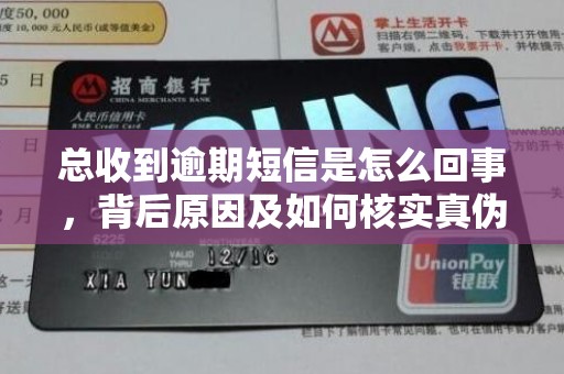 总收到逾期短信是怎么回事，背后原因及如何核实真伪？