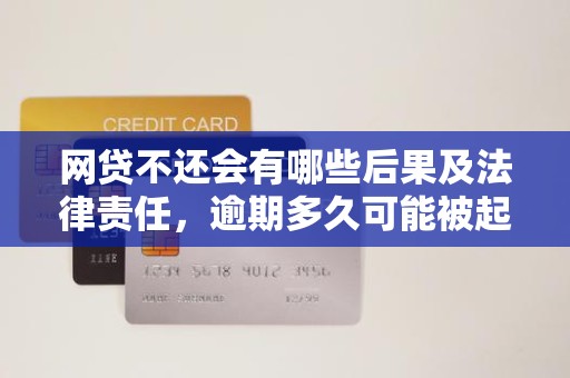 网贷不还会有哪些后果及法律责任，逾期多久可能被起诉