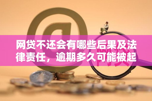 网贷不还会有哪些后果及法律责任，逾期多久可能被起诉